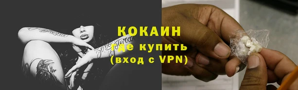 spice Новозыбков